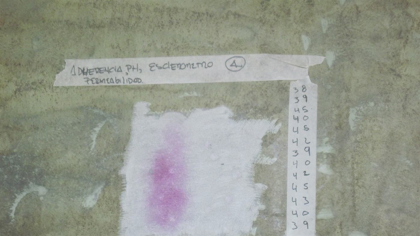 Medición de la profundidad de carbonatación sobre el concreto